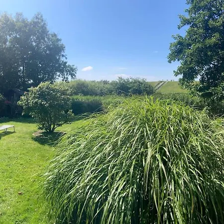 Frische Brise Direkt Am Nordsee Deich *