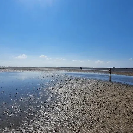 Frische Brise Direkt Am Nordsee Deich Spieka-Neufeld