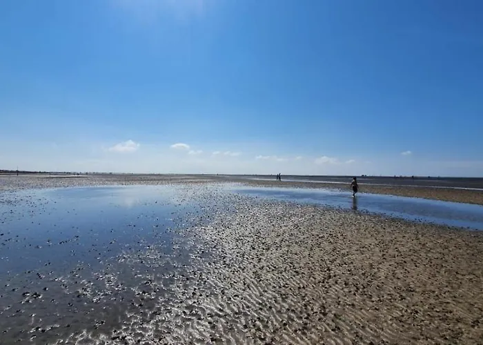 Frische Brise Direkt Am Nordsee Deich Spieka-Neufeld